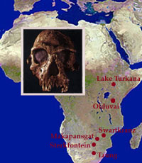 http://www.wsu.edu/gened/learn-modules/top_longfor/timeline/africanus/images/africanus-map.jpeg